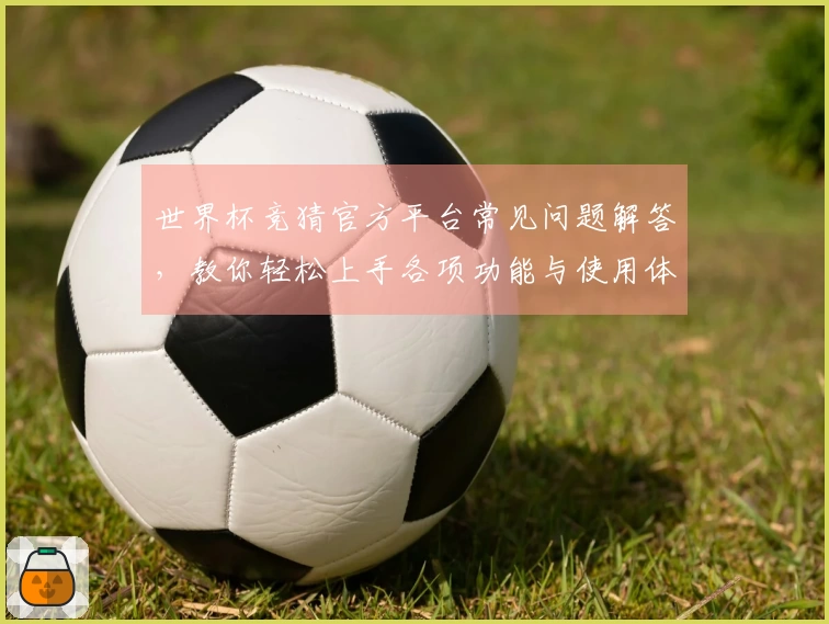 世界杯竞猜官方平台常见问题解答,教你轻松上手各项功能与使用体验