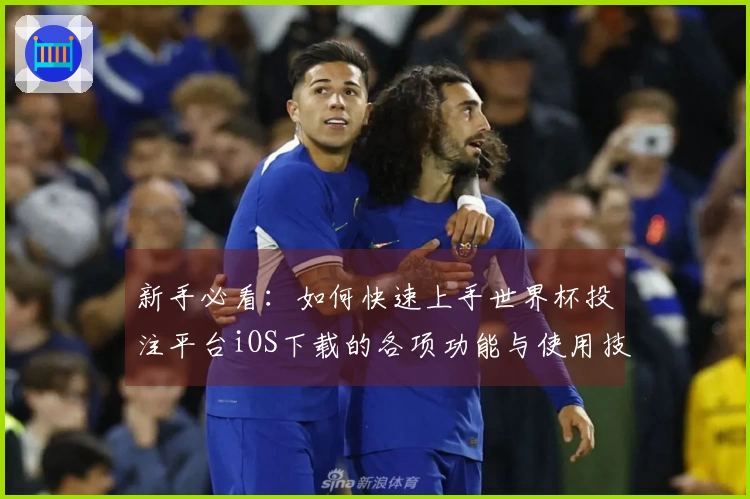 新手必看：如何快速上手世界杯投注平台iOS下载的各项功能与使用技巧