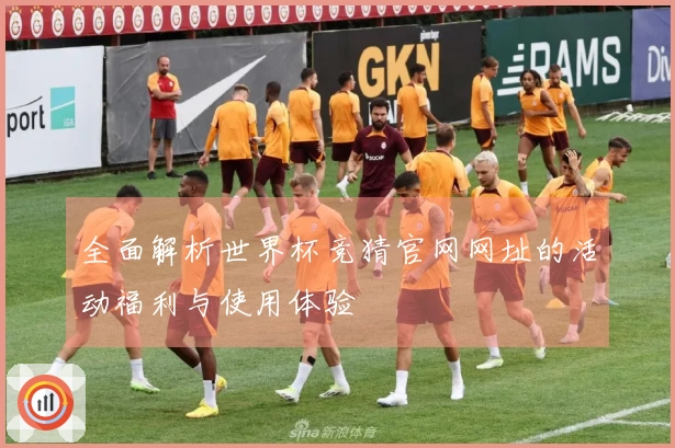全面解析世界杯竞猜官网网址的活动福利与使用体验