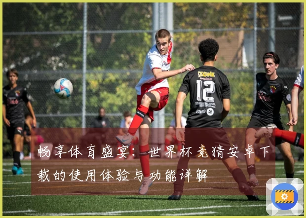 畅享体育盛宴：世界杯竞猜安卓下载的使用体验与功能详解
